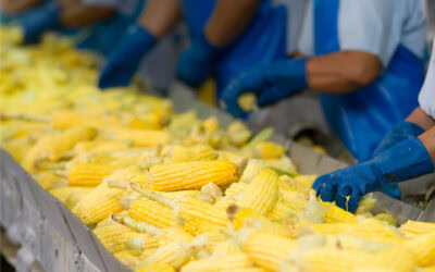 Farm & Food-Processing Injuries Around Vidalia: Third-Party Claims Beyond Workers’ Comp